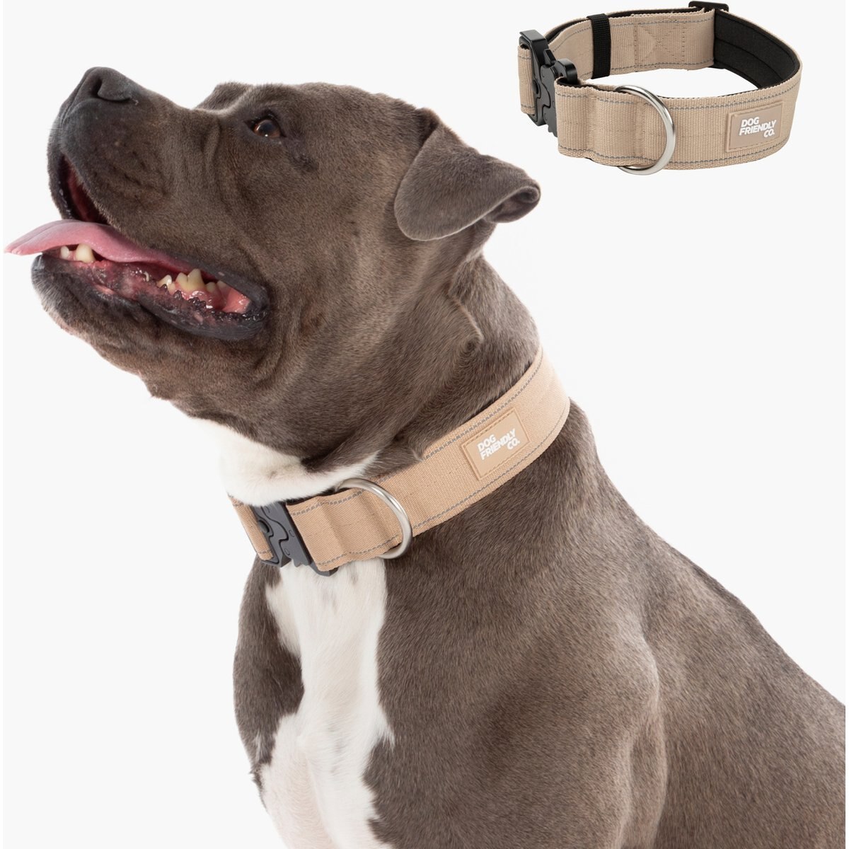 Dog Friendly Co. Comfortable & Secure with Quick Release Clip Buckle Reflective Tactical Dog Collar, Premium Brown, Small
