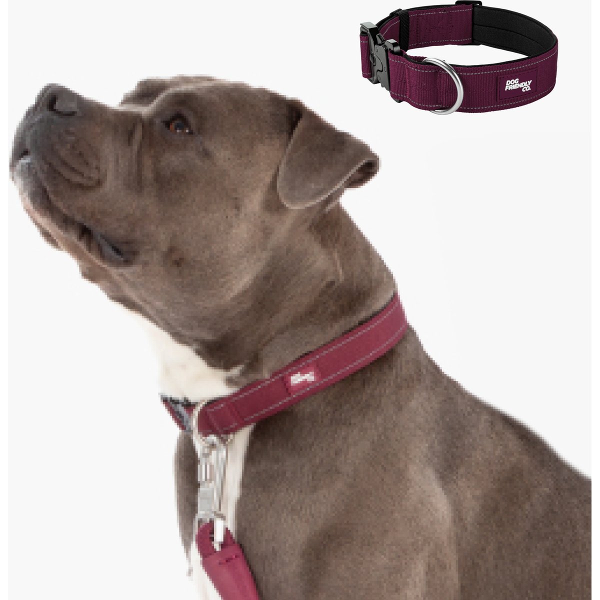 Dog Friendly Co. Comfortable & Secure with Quick Release Clip Buckle Reflective Tactical Dog Collar, Premium Burgundy, Large/X-Large