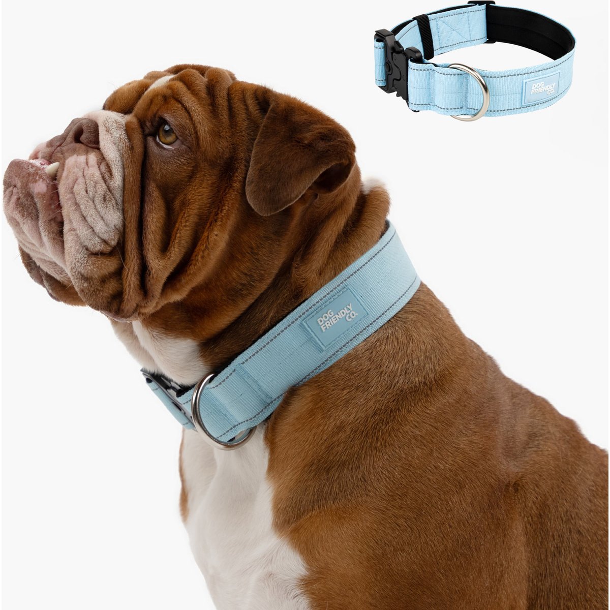 Dog Friendly Co. Comfortable & Secure with Quick Release Clip Buckle Reflective Tactical Dog Collar, Sky Blue, Small