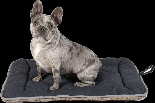 Show full view: Dog Gone Smart Chenille Sleeper Cushion Dog Bed, Blue, X-Small slide 2 of 3