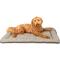 Show in main carousel: Dog Gone Smart Chenille Sleeper Cushion Dog Bed, Grey, Large slide 4 of 5