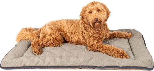 Show full view: Dog Gone Smart Chenille Sleeper Cushion Dog Bed, Grey, Large slide 4 of 5