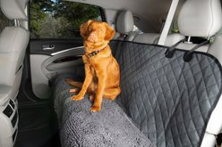 Dog Gone Smart Dirty Dog 3-in-1 Car Seat Cover & Hammock, Grey
