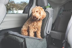 Dog Gone Smart Bench with Microfiber Bottom Dirty Dog Car Single Seat Cover & Hammock, Grey