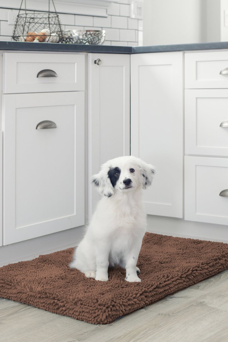 Dog Gone Smart Dirty Dog Cushion Pad