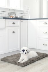 Dog Gone Smart Ultra-Absorbent Microfiber Crate & Travel Dirty Dog Cushion Pad, Grey, Small slide 2 of 4