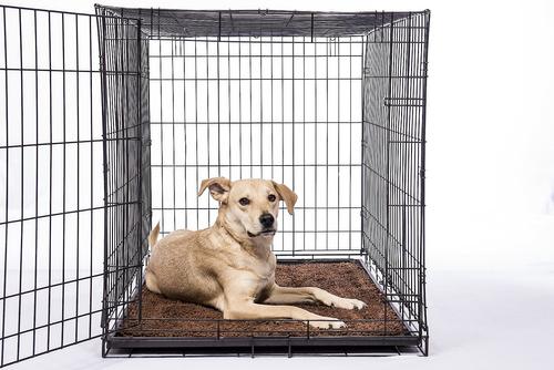 Show full view: Dog Gone Smart Super Absorbent Non-Slip Dirty Dog Doormat, Brown, Large slide 4 of 6