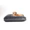 Show in main carousel: Dog Gone Smart Dirty Dog Rectangle Dog & Cat Bed with Removable Cover, Grey, Large slide 2 of 2