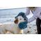 Show in main carousel: Dog Gone Smart Dirty Dog Microfiber Shammy Towel, Pacific Blue, 31 x 13-in slide 4 of 9