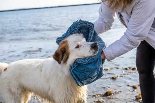 Show full view: Dog Gone Smart Dirty Dog Microfiber Shammy Towel, Pacific Blue, 31 x 13-in slide 4 of 9