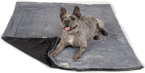 Show full view: Dog Gone Smart Itchy Witchy Essential Oils Dog & Cat Blanket, Black, Medium slide 2 of 2