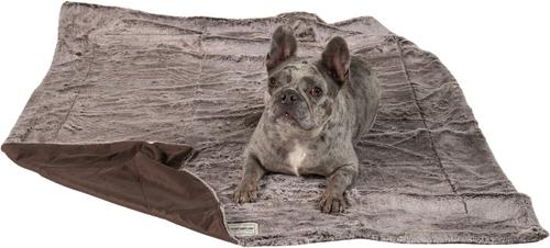 Show full view: Dog Gone Smart Itchy Witchy Essential Oils Dog & Cat Blanket, Chocolate Truffle, Medium slide 2 of 2