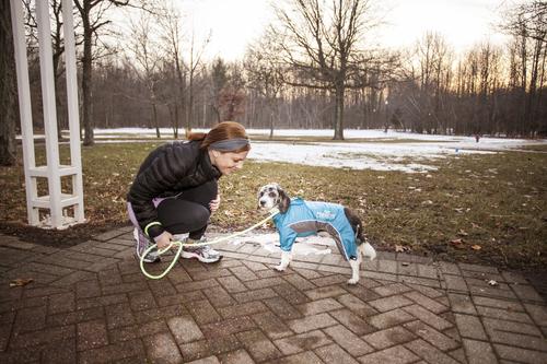 Show full view: Dog Helios Blizzard Full-Bodied Reflective Dog Jacket, Blue, Large slide 7 of 10