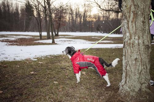 Show full view: Dog Helios Blizzard Full-Bodied Reflective Dog Jacket, Cola Red, X-Large slide 8 of 11