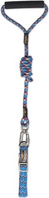 Show full view: Dog Helios Dura-Tough 3M Reflective Dog Collar & Leash, Blue, Medium slide 4 of 4