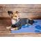 Show in main carousel: Dog Helios Namastail Lightweight 4-Way Stretch Performance Yoga Dog & Cat Hoodie Tracksuit, Charcoal Black, Small slide 4 of 7