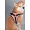 Show in main carousel: Dog Helios Scorpion Sporty High-Performance Free-Range Dog Harness, Orange, Medium slide 8 of 8
