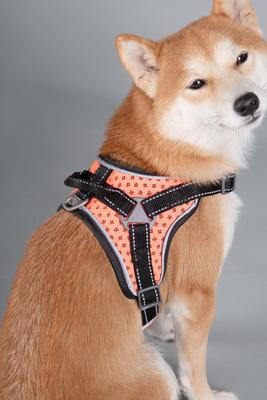 Show full view: Dog Helios Scorpion Sporty High-Performance Free-Range Dog Harness, Orange, Medium slide 8 of 8