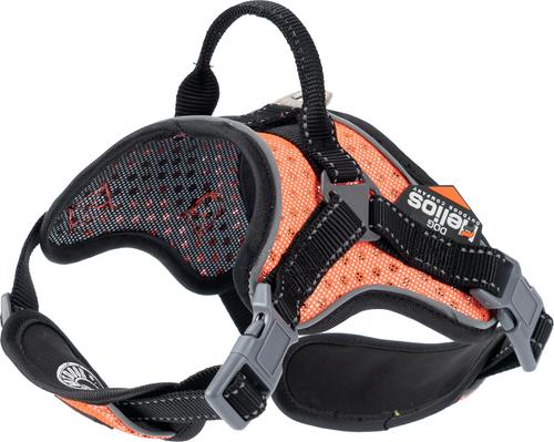 Show full view: Dog Helios Scorpion Sporty High-Performance Free-Range Dog Harness, Orange, Small slide 2 of 8