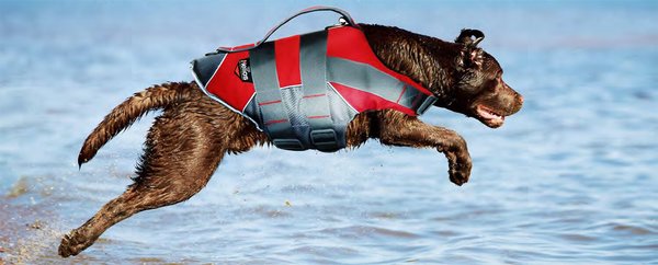 Dog Helios Splash-Explore 3M Reflective Dog Harness & Life Jacket