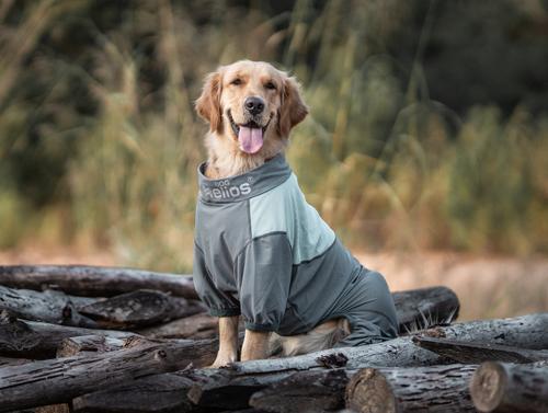 Show full view: Dog Helios Tail Runner Lightweight 4-Way Stretch Performance Dog Tracksuit, Grey, Small slide 3 of 4