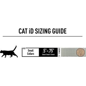 DOG iD Personalized Cat ID Tag, Slate, Small