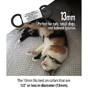 DOG iD Personalized Cat ID Tag, Slate, Small
