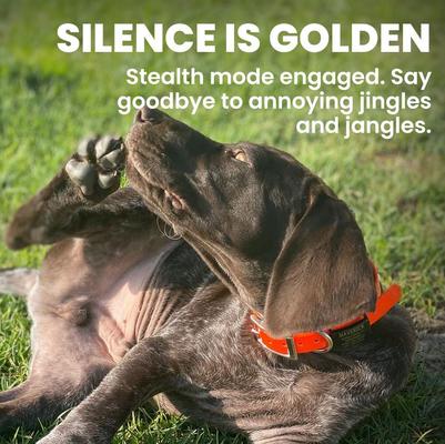 Show full view: DOG iD Personalized Dog ID Tag, Rose Gold, Medium/Large slide 5 of 11