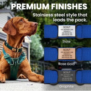 DOG iD Personalized Dog ID Tag, Slate, Medium/Large