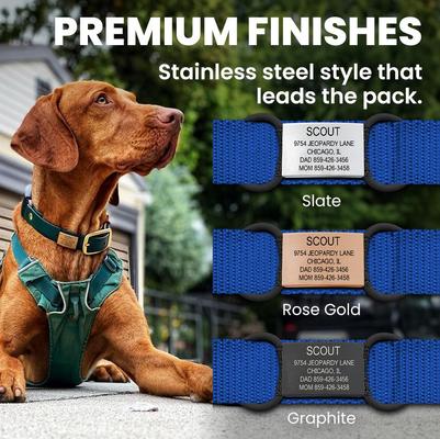 Show full view: DOG iD Personalized Dog ID Tag, Slate, Medium/Large slide 9 of 11