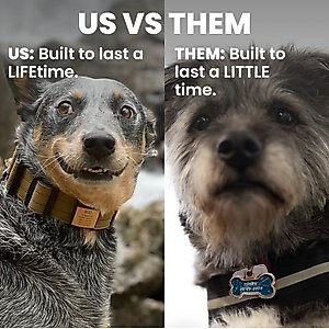 DOG iD Personalized Dog ID Tag, Slate, Medium/Large