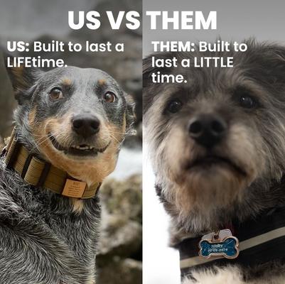 Show full view: DOG iD Personalized Dog ID Tag, Slate, Medium/Large slide 8 of 11