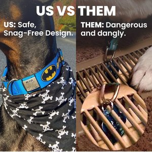 DOG iD Personalized Dog ID Tag, Slate, Medium/Large