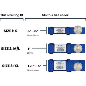 DOG iD Personalized Dog ID Tag, Slate, Medium/Large