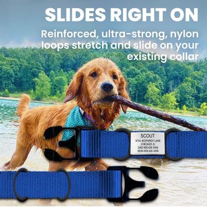 DOG iD Personalized Dog ID Tag, Slate, Medium/Large