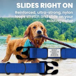 DOG iD Personalized Dog ID Tag, Slate, Small slide 2 of 8