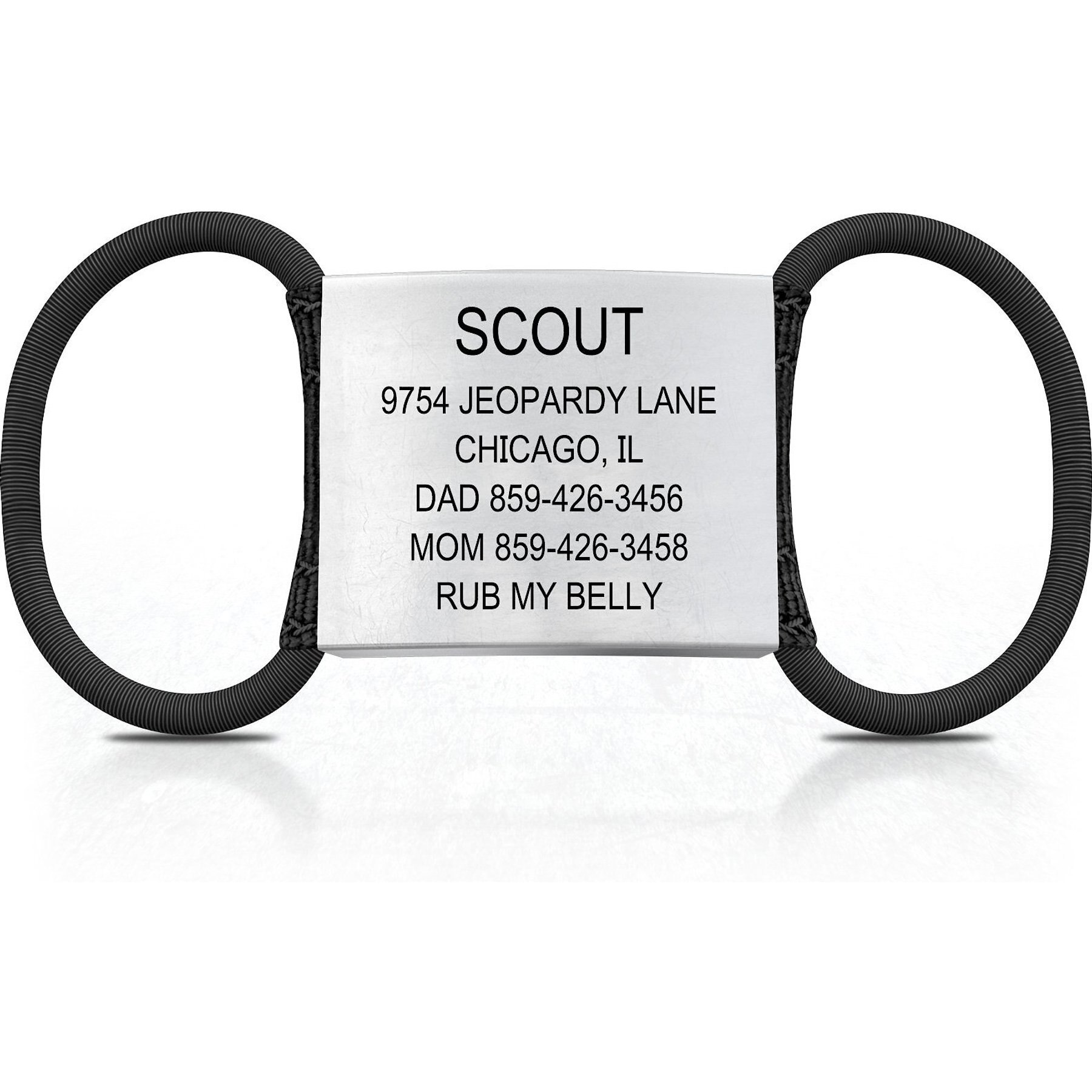 登場! Dog Personalized ID DOG ID Chewy.com - Small Graphite, Tag, アクセサリー
