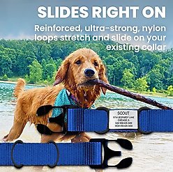 DOG iD Personalized Dog ID Tag, Slate, X-Large slide 2 of 8