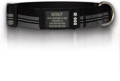 Show full view: DOG iD The Rock Solid Personalized ID Tag Dog Collar, Graphite, Black, Medium/Large slide 1 of 9