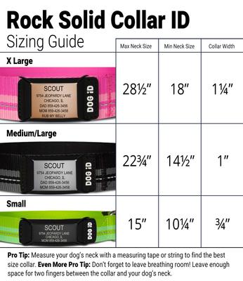 Show full view: DOG iD The Rock Solid Personalized ID Tag Dog Collar, Graphite, Black, Small slide 2 of 9