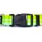 Show in main carousel: DOG iD The Rock Solid Personalized ID Tag Dog Collar, Graphite, Green, Medium/Large slide 3 of 9