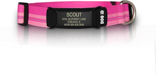 Show full view: DOG iD The Rock Solid Personalized ID Tag Dog Collar, Graphite, Pink, Small slide 1 of 9