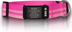 DOG iD The Rock Solid Personalized ID Tag Dog Collar, Graphite, Pink, X-Large