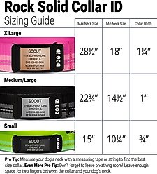 DOG iD The Rock Solid Personalized ID Tag Dog Collar, Rose Gold, Green, X-Large slide 2 of 7