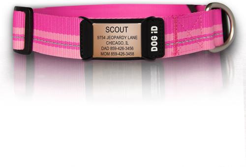 Show full view: DOG iD The Rock Solid Personalized ID Tag Dog Collar, Rose Gold, Pink, Medium/Large slide 1 of 8