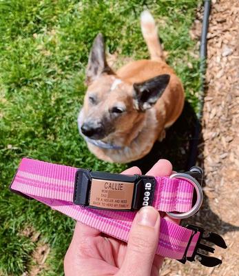 Show full view: DOG iD The Rock Solid Personalized ID Tag Dog Collar, Rose Gold, Pink, Small slide 4 of 8