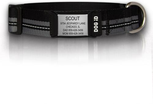 Show full view: DOG iD The Rock Solid Personalized ID Tag Dog Collar, Slate, Black, Medium/Large slide 1 of 8