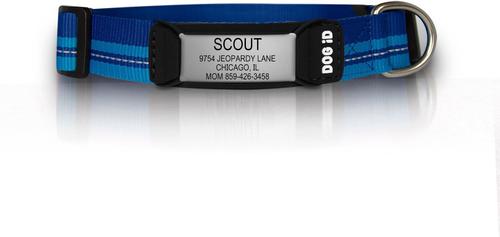 Show full view: DOG iD The Rock Solid Personalized ID Tag Dog Collar, Slate, Blue, Small slide 1 of 8