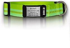 DOG iD The Rock Solid Personalized ID Tag Dog Collar, Slate, Green, Medium/Large