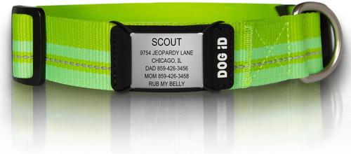 Show full view: DOG iD The Rock Solid Personalized ID Tag Dog Collar, Slate, Green, X-Large slide 1 of 9
